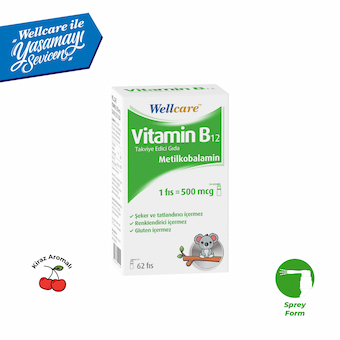 Wellcare Vitamin B12 Metilkobalamin 500 Mcg Dil Altı Sprey 5 Ml